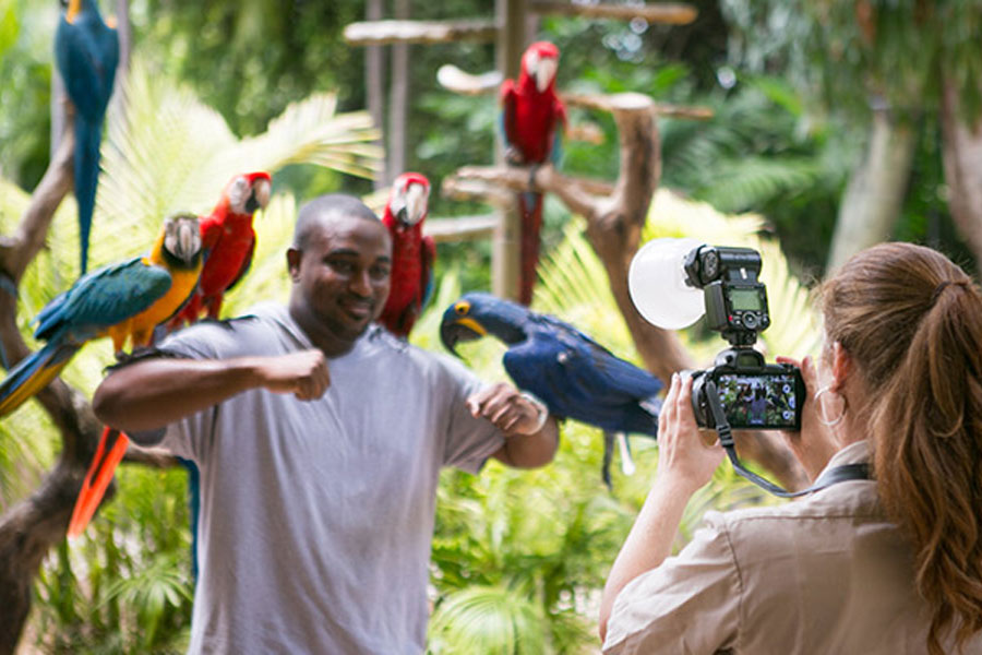Jungle Island Miami Discount Tickets